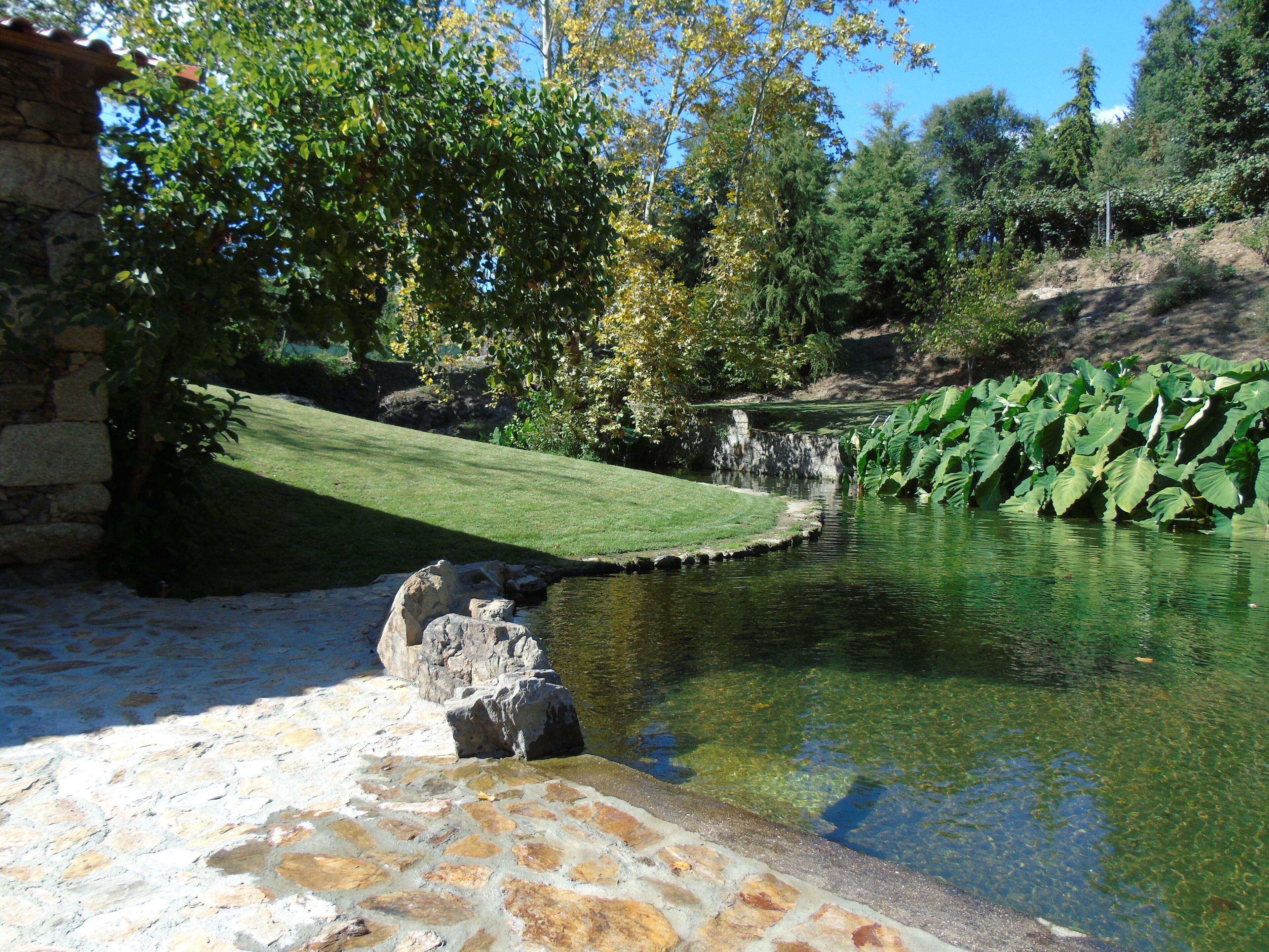 A stone pathway leading to a pond with water lilies, surrounded by trees and a stone wall.