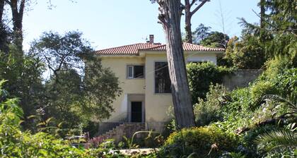 Casa do Lado - Tourism with Character