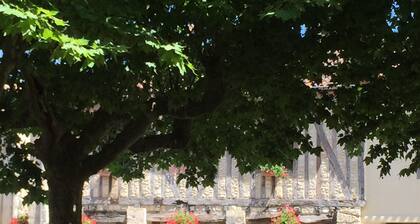 Charming French Village House Overlooking Historic Square in Delicious Gascony