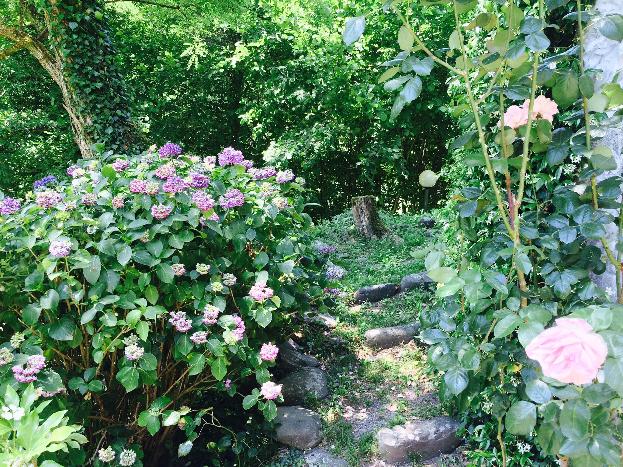 Overnatningsstedets område