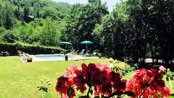 AuĂenpool