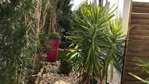 A garden with a variety of plants, a small rock garden, and a wooden fence. - Modern studio, air conditioning, parking, wifi, terrace, 2 steps from the beach (La Ciotat)