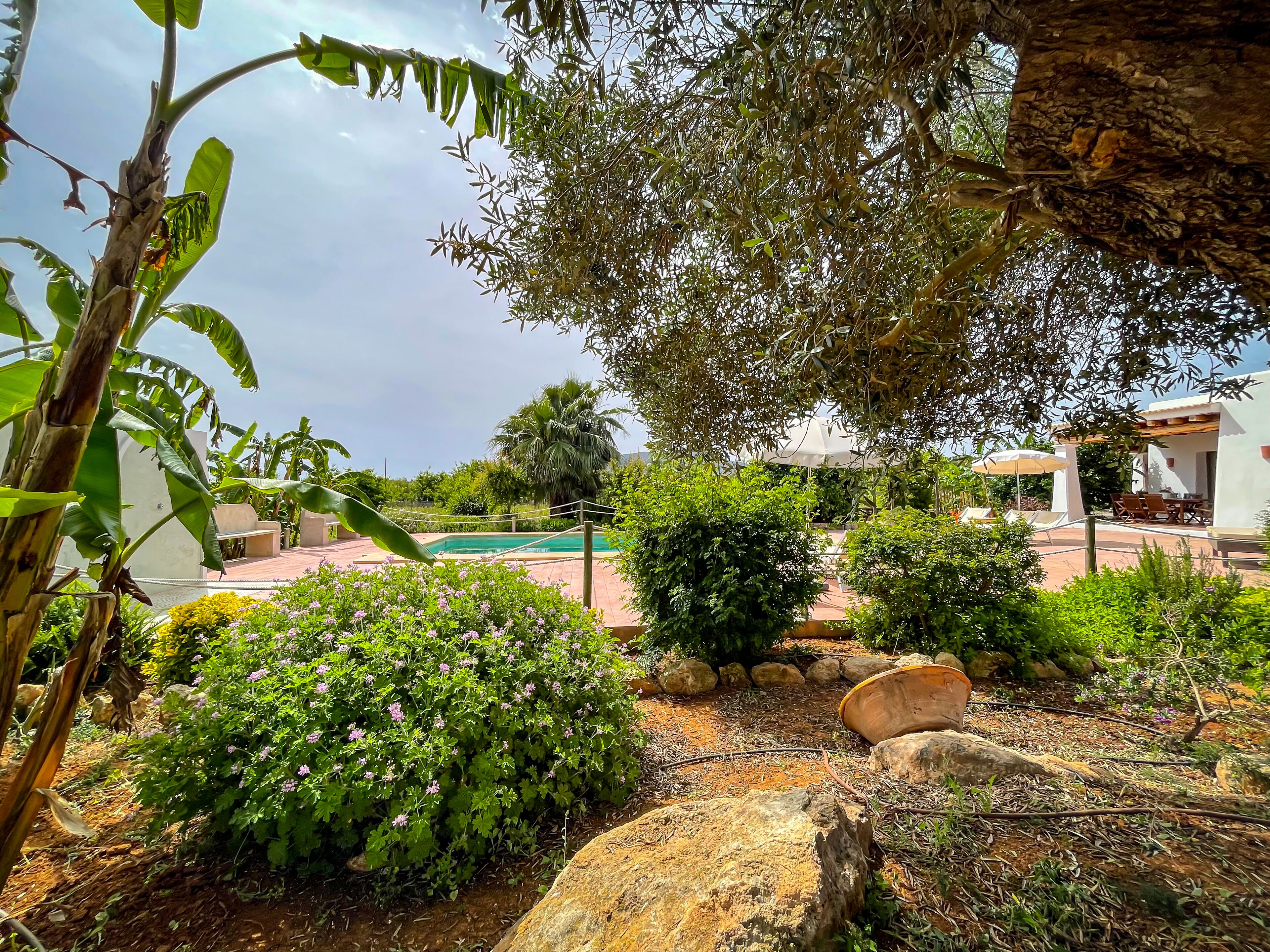 Zona de piscina con vista a un edificio, rodeada de abundante vegetación y rocas.