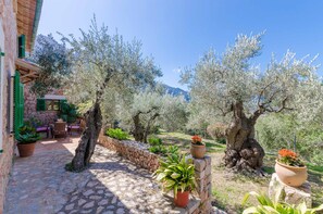 テラス / パティオ