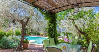 S'OLIVARET - Impressive villa with a private pool in amazing mountainous surroundings. Fre