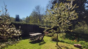 A sunny outdoor area with a wooden table and chairs, surrounded by grass and trees.