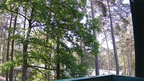 Ein Holztisch mit Tellern, einer Obstschale, einer Flasche und einer Tasse auf einem Balkon mit Blick auf Bäume.
