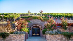 An entrance to a property with a stone archway, a wooden bridge, and a vineyard in the background.