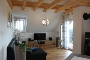 TV, fireplace, DVD player, books