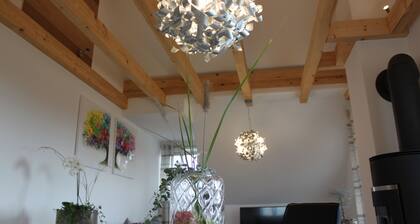 Departamento nuevo - U de alta calidad. decorado con buen gusto con una chimenea cerca de Europa Park