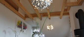 nieuw appartement - hoge kwaliteit u. smaakvol ingericht met een open haard in de buurt van Europa Park