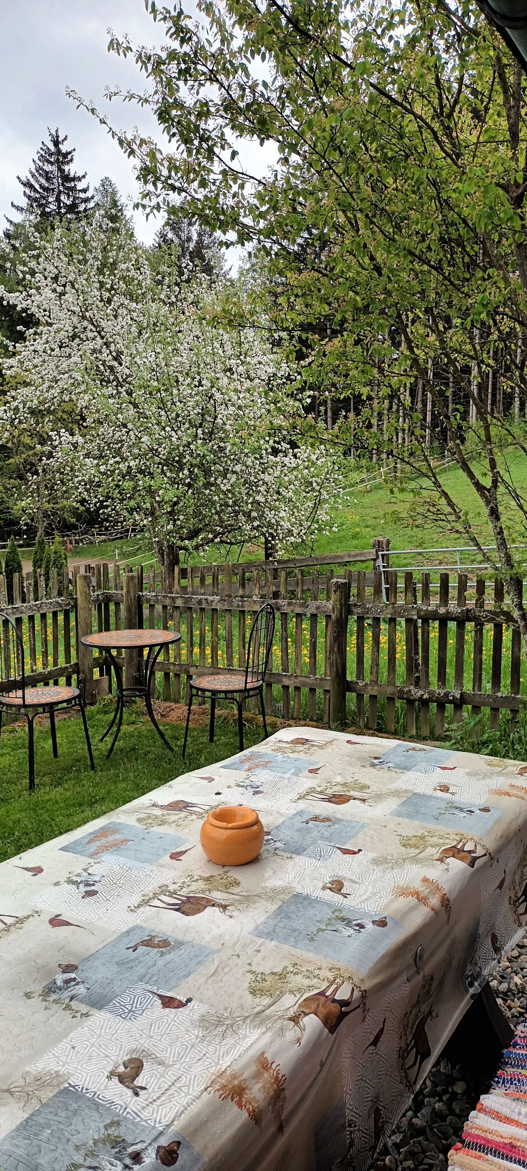 Ristorazione all'aperto