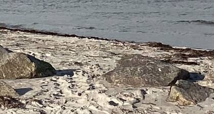 "Achtern Diek" in gepflegter angenehmer Athmosphäre, ebenerdig