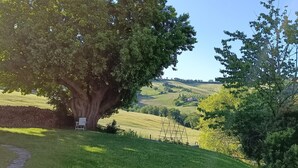 Un grand arbre, avec un banc et une balançoire, se dressent dans un espace verdoyant, avec des collines ondulantes en arrière-plan.