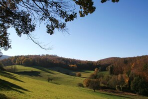 Image sans description, 4 de 22, bouton