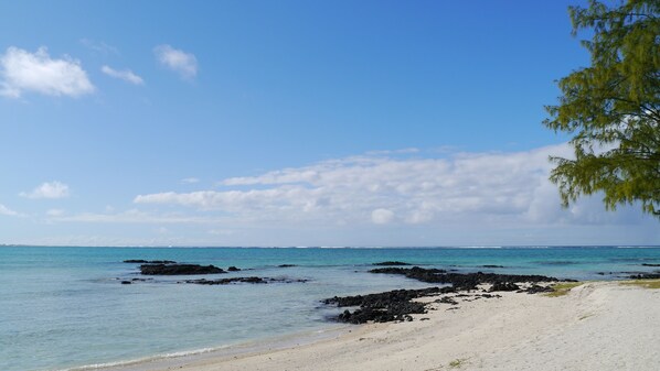 A beach with clear turquoise water, a sandy shore, and scattered rocks.