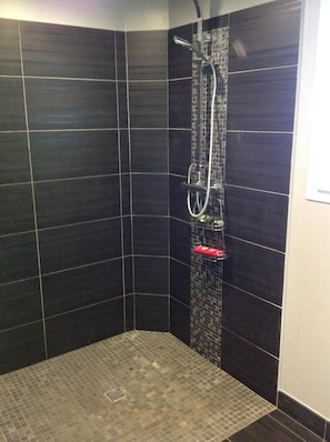 Combined shower/tub, hair dryer, towels, toilet paper