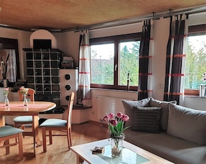 Televisión y chimenea