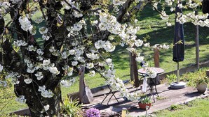 Un jardín con terraza de madera, una mesa y sillas.