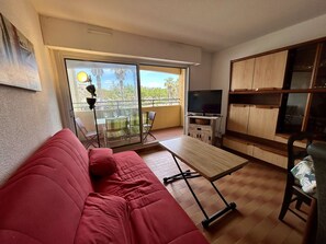 TV