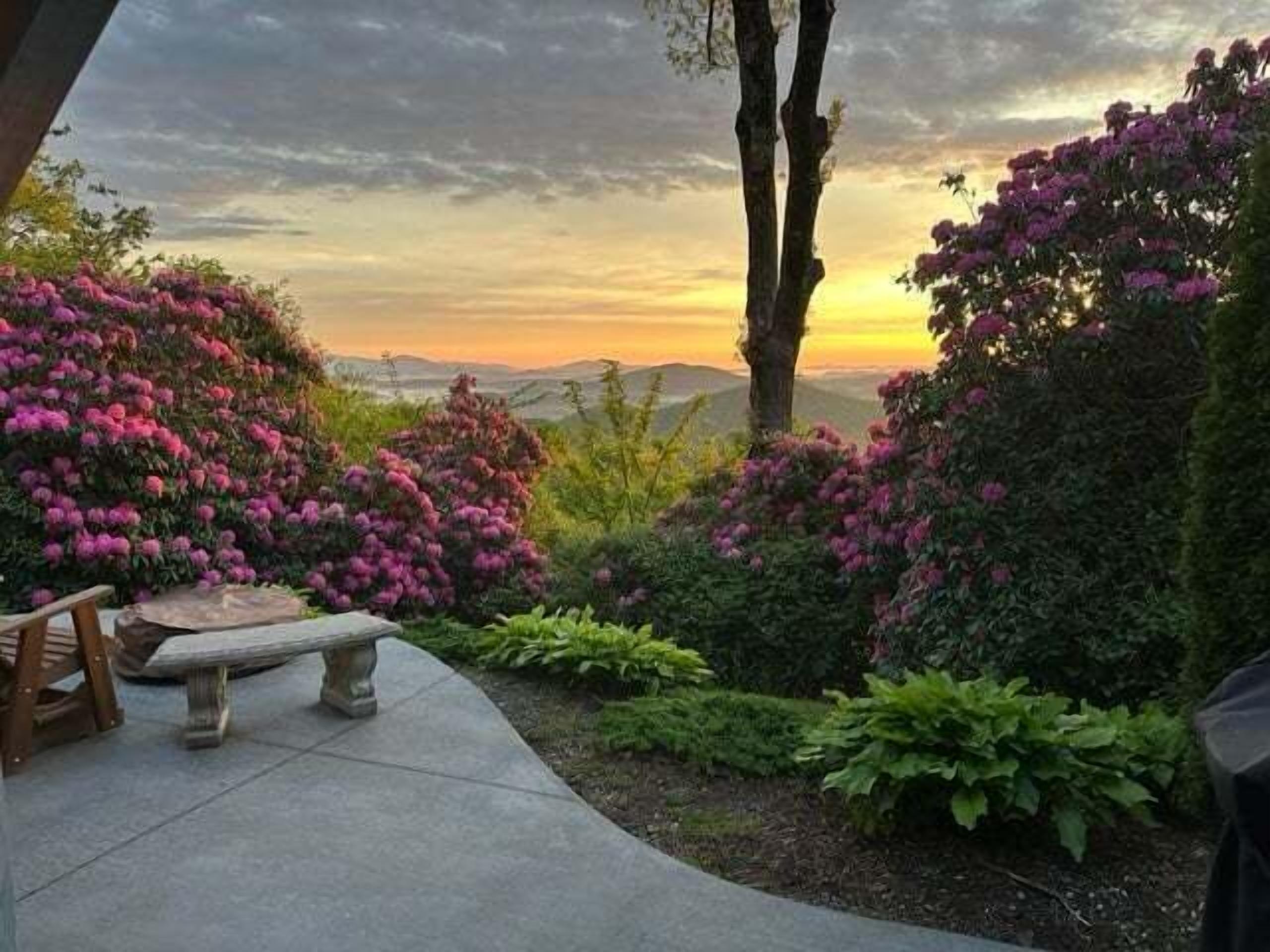 Un jardin avec un banc et des arbustes en fleurs.