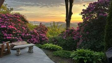Un jardin avec un banc et des arbustes en fleurs.