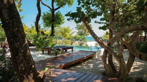 Terraza de madera con sillones, una piscina pequeña y exuberante vegetación tropical.