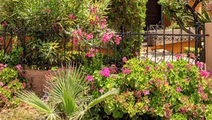 Une maison avec un toit en tuiles, entourée d’un jardin où poussent différentes plantes et fleurs.