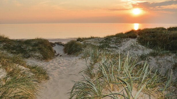 Un sentier qui longe la plage et mène à l’océan, avec des dunes et de l’herbe au premier plan.