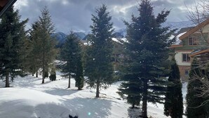 Schneebedeckte Landschaft mit immergrünen Bäumen und einem Gebäude mit schrägem Dach.