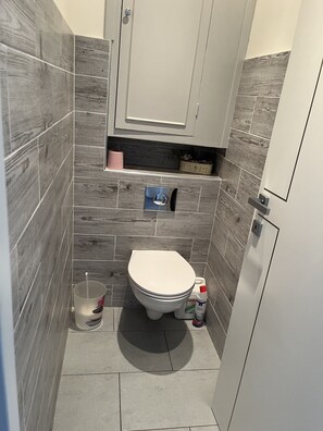 Douche, sèche-cheveux, serviettes fournies, savon