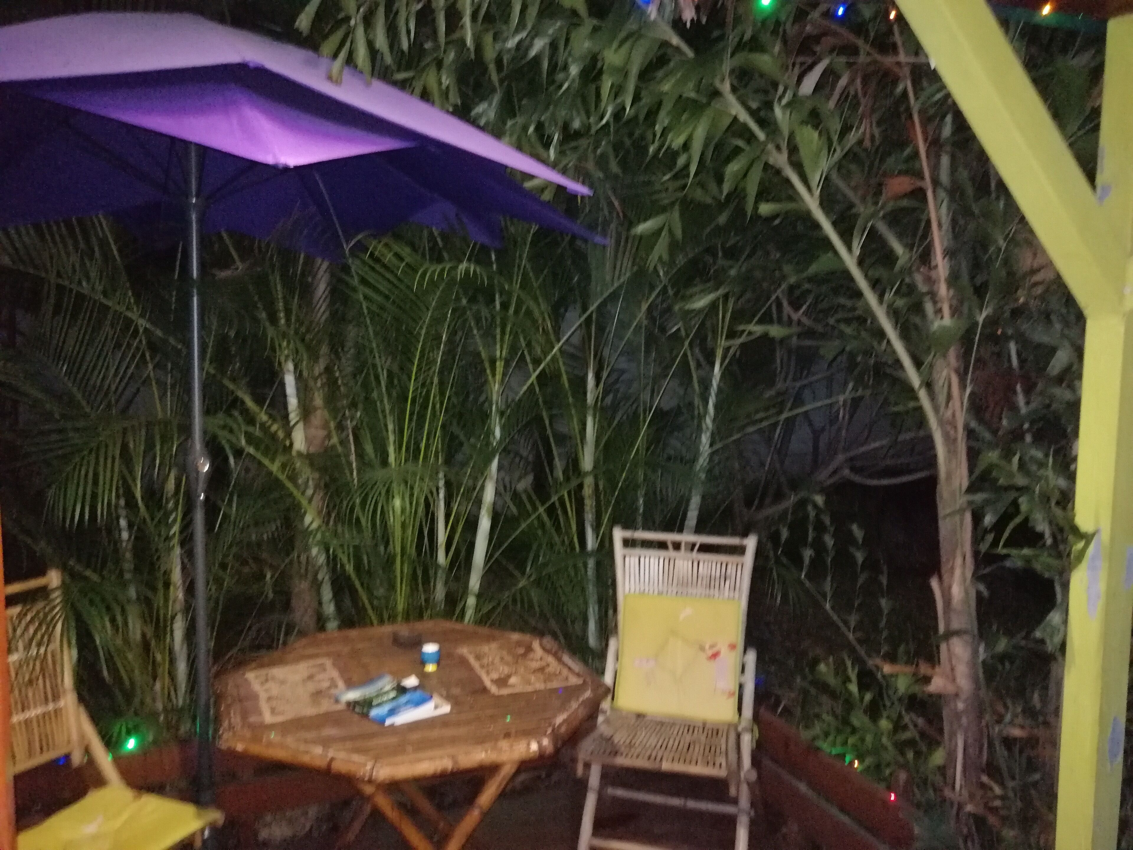 An outdoor seating area with a table and chairs, surrounded by dense foliage.
