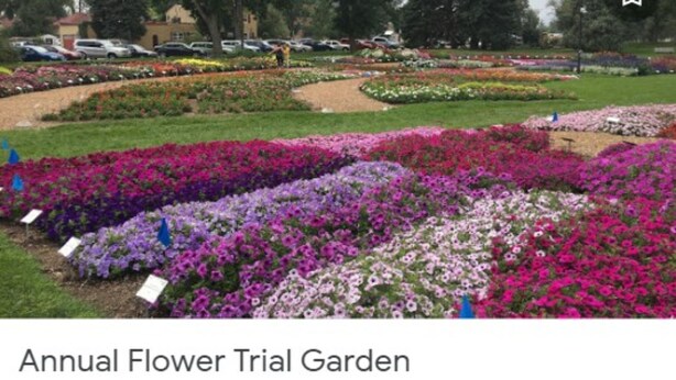 An Annual Flower Trial Garden with various flower beds. - Front Porch, Sunny Coffee Nook, Gorgeous Bathroom, One block to CSU & Old Town! (Fort Collins)