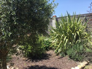 Área da propriedade