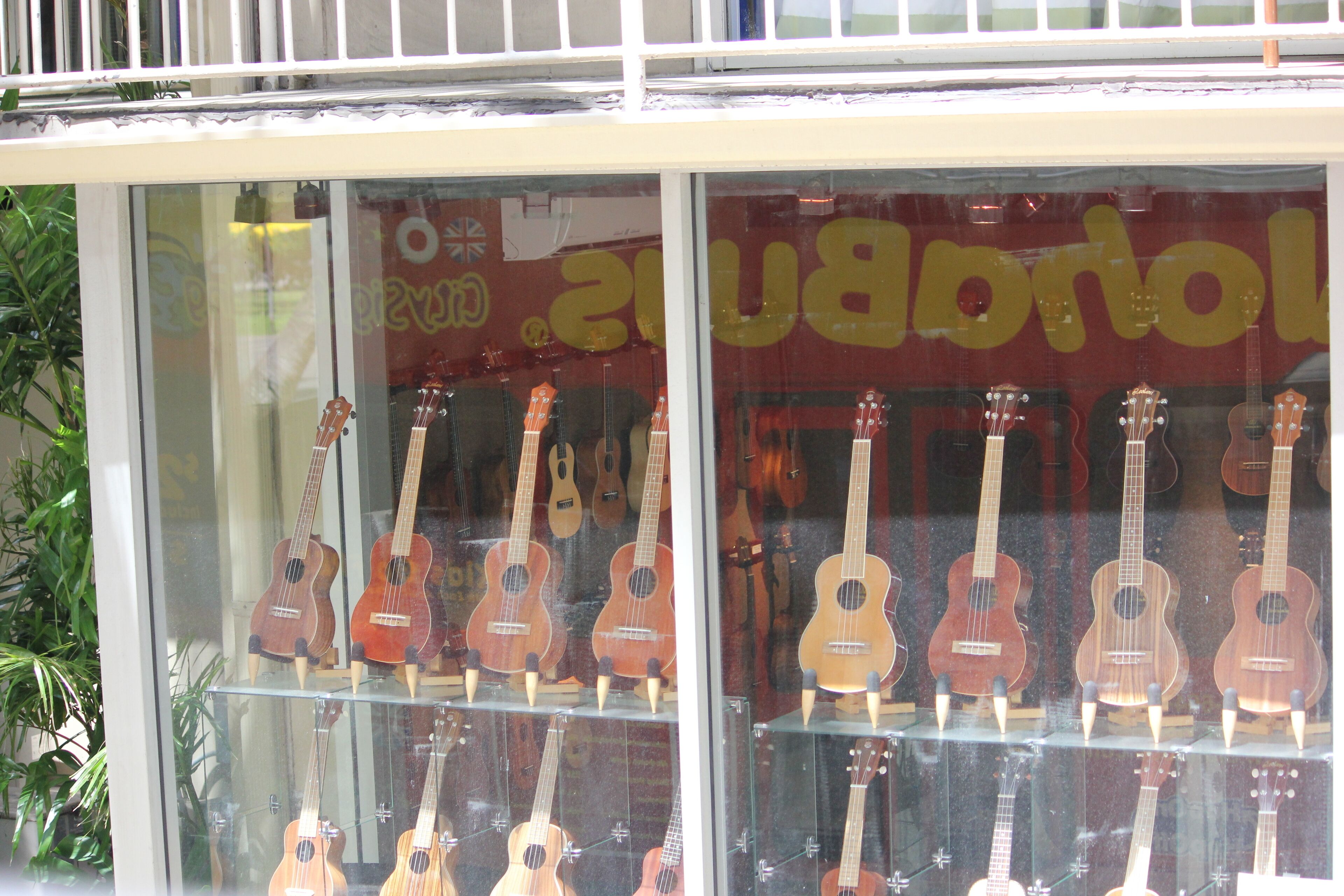 A store window with multiple ukuleles displayed on shelves.