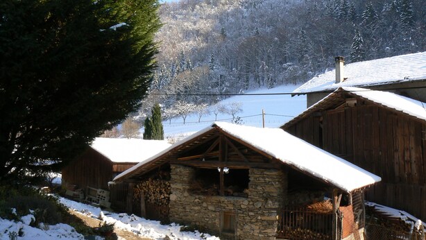A rustic wooden cabin with a stone foundation, surrounded by snow-covered trees and a clear sky.