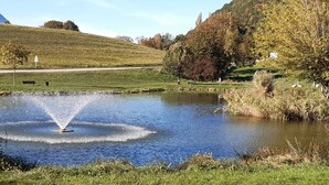A pond with a fountain in a park setting, surrounded by grass and trees.