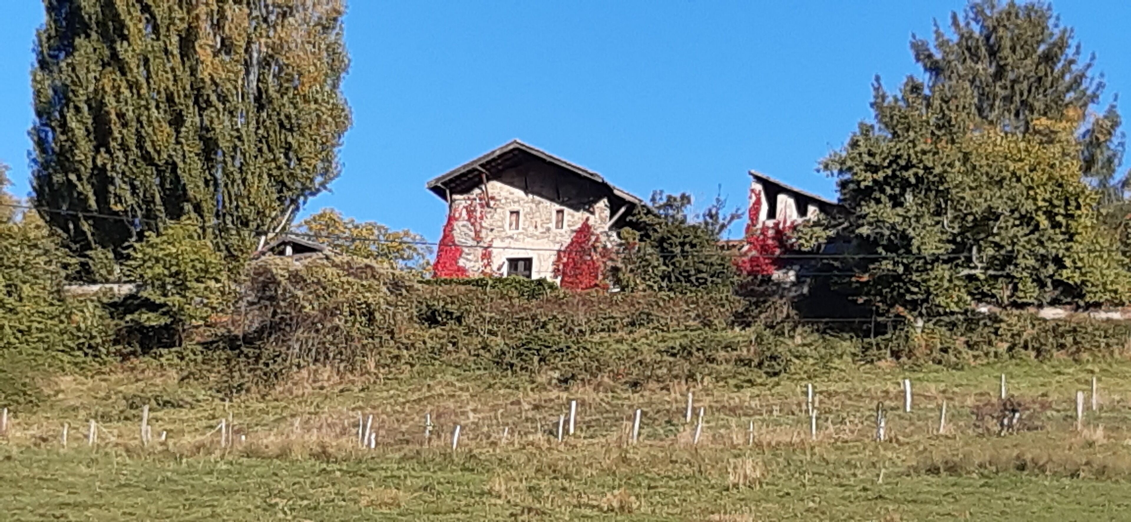 Een huis met schuin dak, omringd door bomen en een hek.