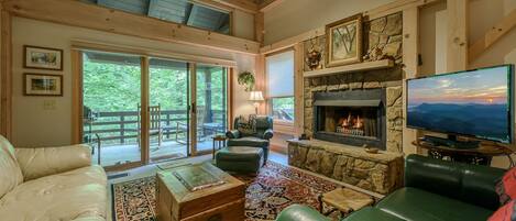 智能电视、壁炉、Netflix、DVD 播放器