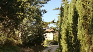 Ein Kiesweg, gesäumt von hohen Nadelbäumen, führt zu einem Gebäude mit einem geneigten Dach.
