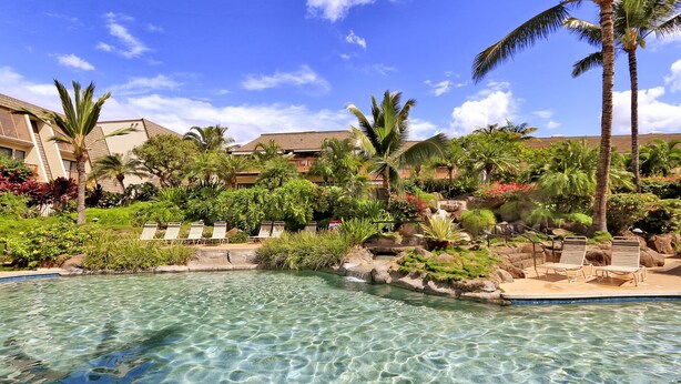 A clear pool with lounge chairs and palm trees, surrounded by lush greenery and a building with a sloped roof. - Quiet, Private Paradise M208 steps to the tropical pool and tennis court (Kihei)