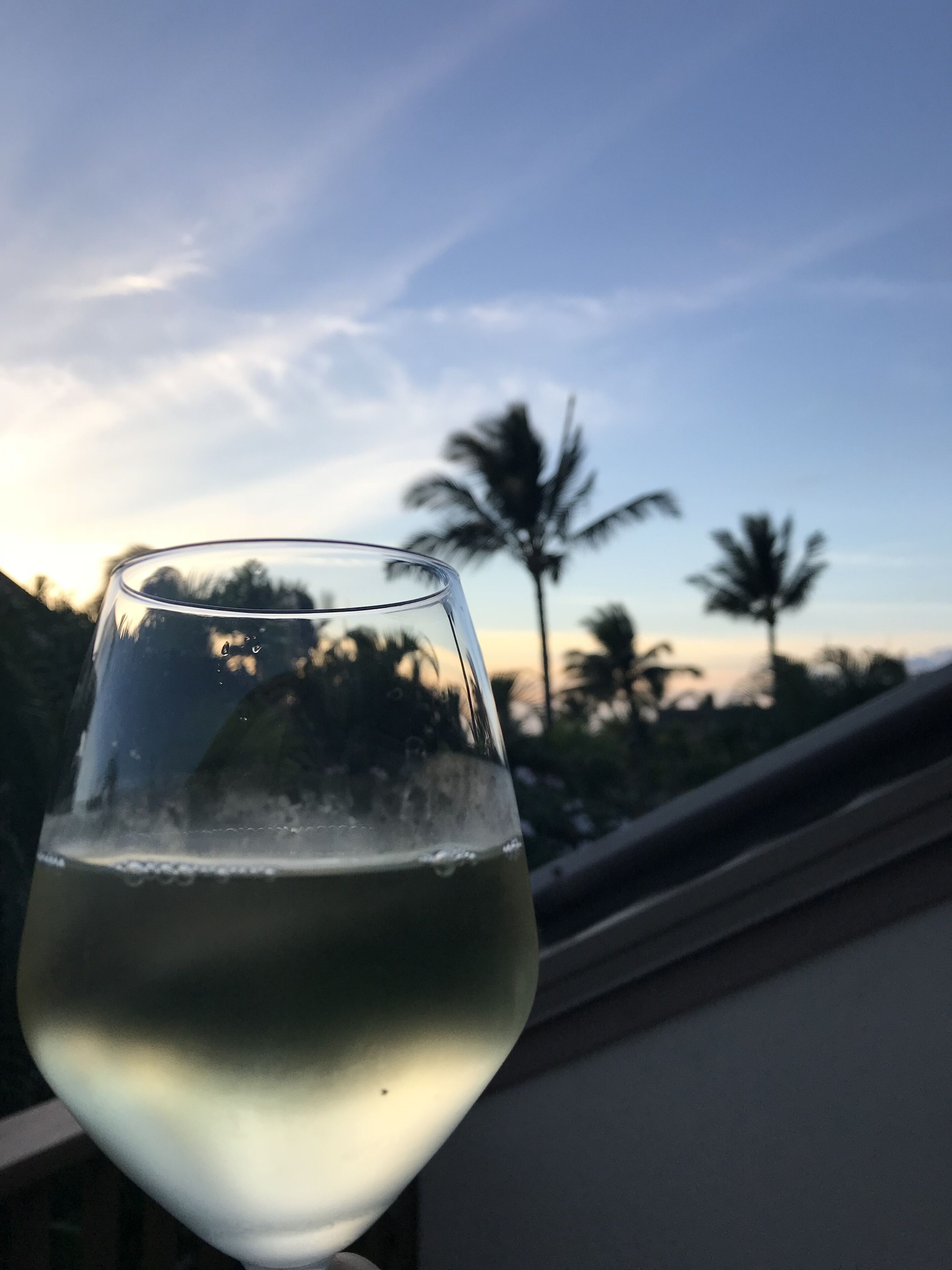A glass of white wine with a clear view of palm trees and a blue sky in the background.