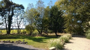 Un jardin avec différents arbres, une balançoire et un chemin de gravier.