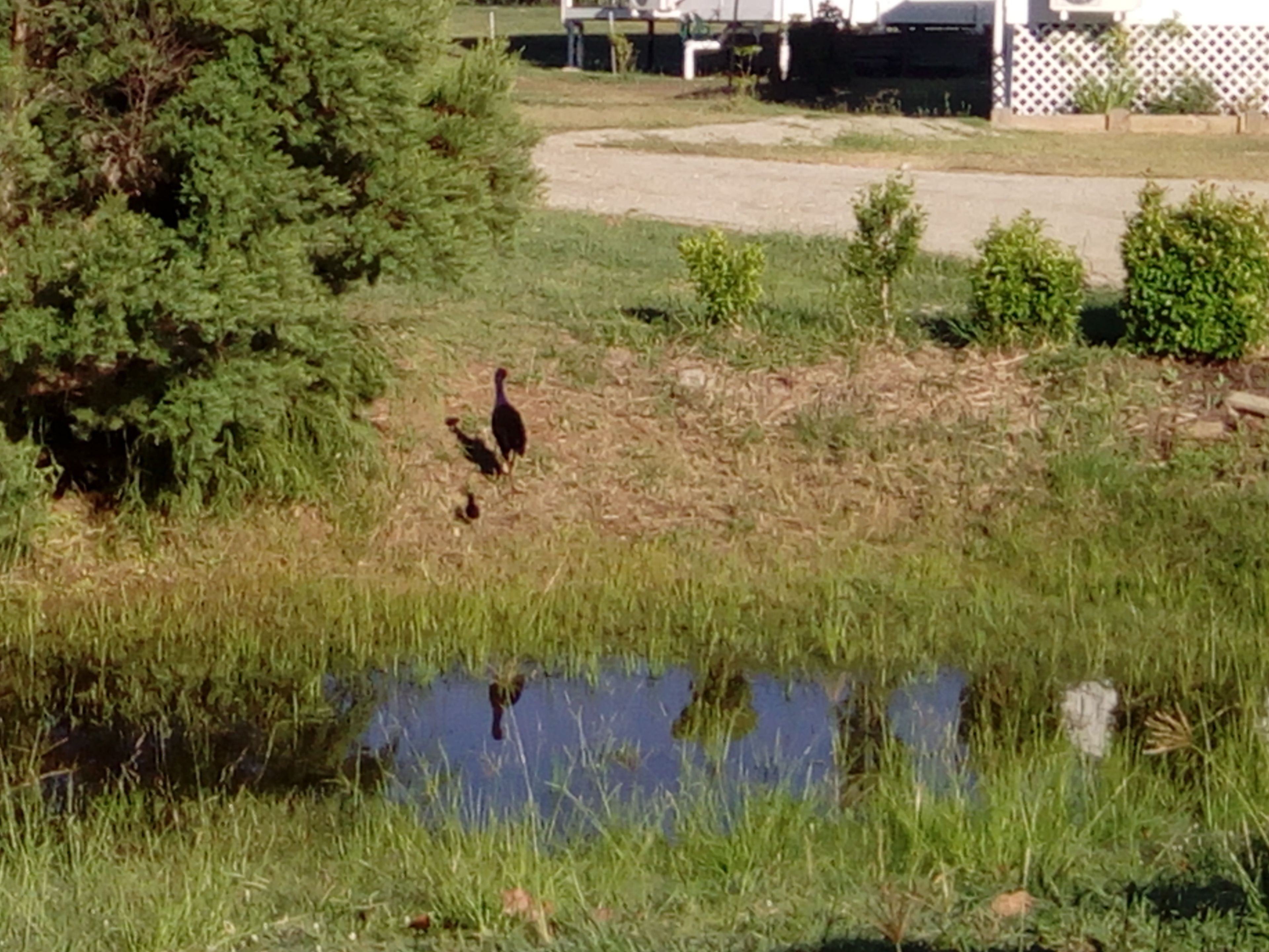 الإطلالة من المنشأة