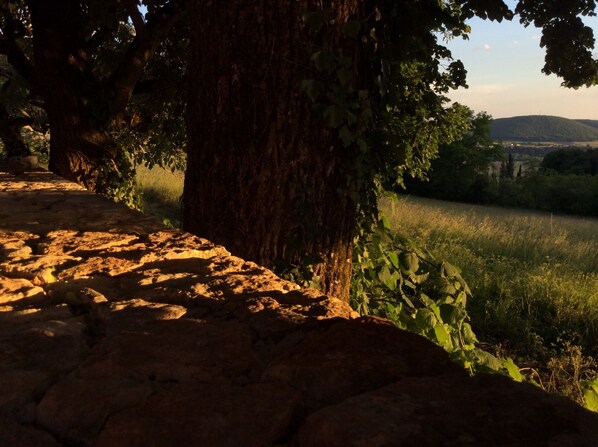 Un sentier de pierres mène à une zone bordée d’arbres, d’où l’on peut admirer des collines lointaines.