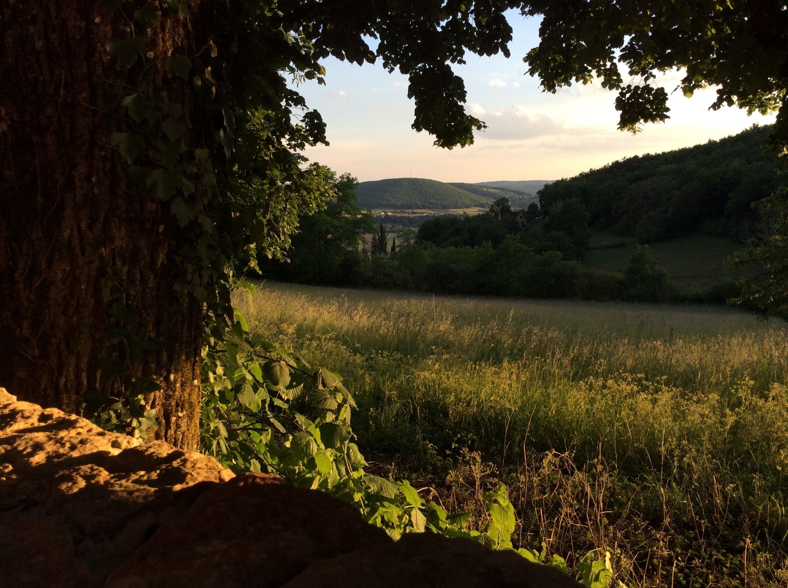 Terrain de l’hébergement 