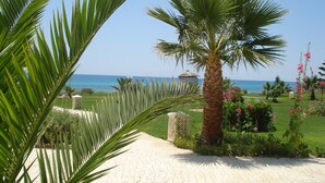 A paved pathway leading to a beach with palm trees and a thatched-roof structure. - B&B Cote d'azur, Your seaside holiday in Hammamet.<br> (Hammamet)