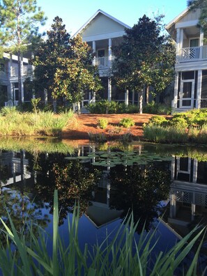 Our home sits on the lovely Dragonfly Park lily pond