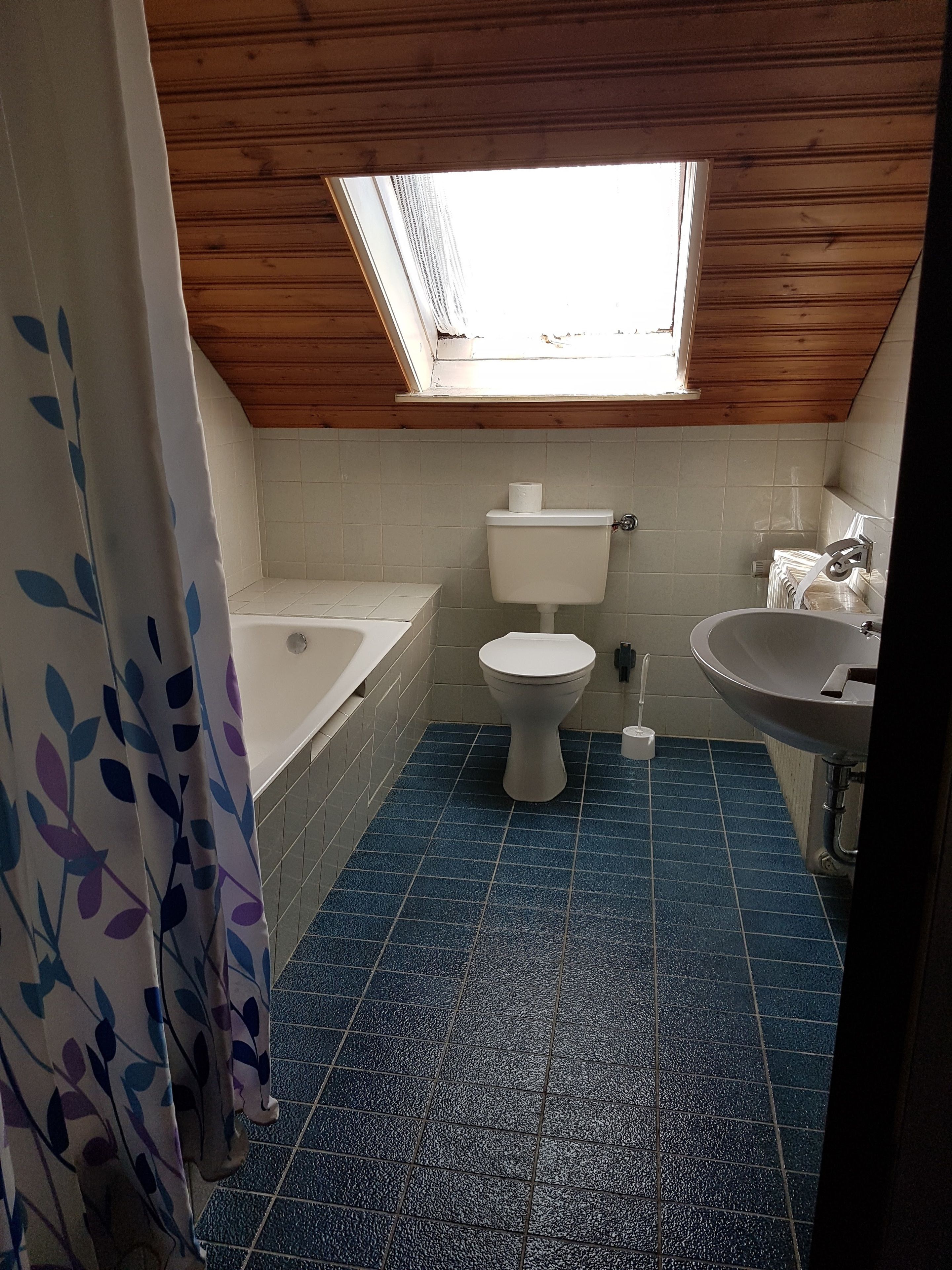 A bathroom with a skylight, a toilet, a sink, and a bathtub.