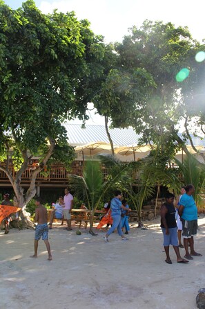 Property grounds - Your holiday apartment with sea view (Roches Noires)